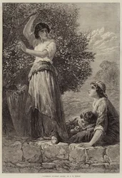 Raccolta di Foglie di Gelso